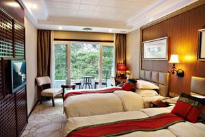 黄金5号游轮图片