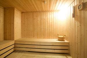 星际领航号游轮桑拿房